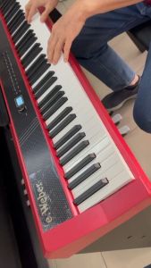 e.Weber -88 keys Digital Piano (eW-190) with wooden frame
