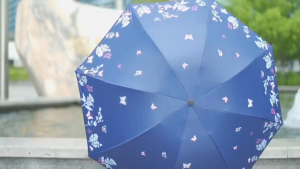 RAINPRO 3-Fold Umbrella – UV Protection Rain & Sun Use Black Coating Sunshade Design