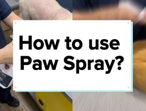 PetMedic Pet Healthcare Essentials (Paw Spray Sanitizer/GoodLife DMG Immune Booster) - Advanced Starter Bundle