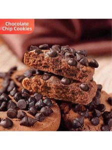 Chocolate Flavor Snack Biscuits