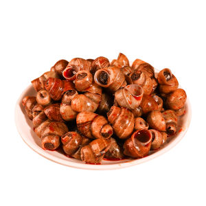 มังกรหอยสีชมพู รสเผ็ด เครื่องดื่ม อาหารสำหรับทานพร้อมขวด 28 กรัม วัตถุดิบสัตว์ทะเลสด แหล่งกำเนิด จีนแผ่นดินใหญ่