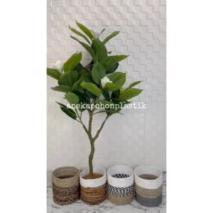 Pohon Hias Artificial Tanaman Daun Magnolia Latex Cover Seagrass Dekorasi Kantor Hiasan Cafe Aesthetic