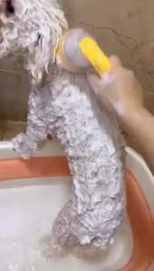 Multifunctional Pet Bathing Brush Silicone Pet Liquid-Filled Shower Brush Rubber Comb Long And Short Hair Dogs Cats Long Handle