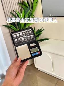 Camry | Mini Household Jewelry and Gold Weighing Scale 0.01g