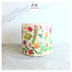 The Leaferie Elsie plant pots. flowerpot . flowerpots . flower pot . planter . planters . Ceramic . Plants
