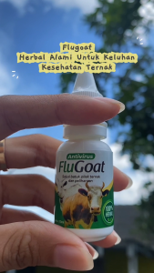 FLUGOAT Obat Pileg Kembung Batuk Untuk Sapi Kambing Terbuat Dari Bahan Alami