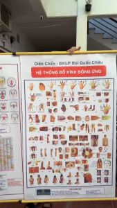 Diện Chẩn BỘ 2 TRANH ( đồng ứng- phản chiếu ) – Tất cả trong một (khổ A0)