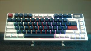 คีย์บอร์ดเกมมิ่ง SARU COLOR TFT KX-81 จอ LED พร้อม TTC RED Switch คีย์แคป Cherry Profile สินค้าประกัน 1 ปี