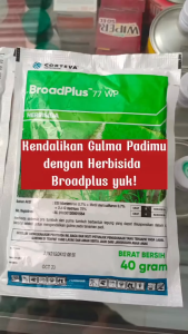 BROADPLUS 77 WP KEMASAN 40 Gram Herbisida Formula Selektif Sistemik CORTEVA Obat Gulma Padi