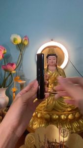 Chổi Xòe Có nắp quét phủi TượngBàn thờ [dài 13cm] tiện íchdễ vận chuyển