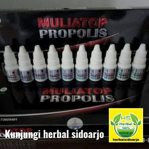 Muliatop Propolis Bisa untuk Alergi Ambeien Anemia Asma Asam Urat Asam Lambung Gagal Ginjal Hepatitis Sakit Mata Congek Hidung Jantung Kanker Kolestrol Leukimia Luka Jerawat dll