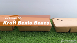 Kraft Bento Box Disposable Lunch Box 3 Compartments Food Grade Oil & Grease Resistant 50/200 PCS