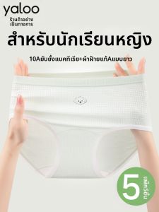 Cotton Girl Underwear for Developing Schoolgirls
