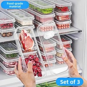 Freezer Storage Freshness Box