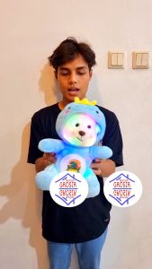 Boneka Bear Hoodie Lotso beruang Kostum Lampu LED