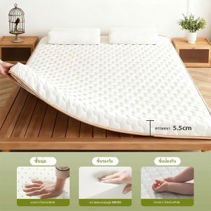 THN ที่นอน TOPPER 3ฟุต 3.5ฟุต 5 ฟุต 6 ฟุต Latex Mattress พับเก็บได้ ที่นอนยางพารา ท็อปเปอร์ แบบนุ่มสบาย ผ้ากันไรฝุ่น แก้ปวดหลัง  COD