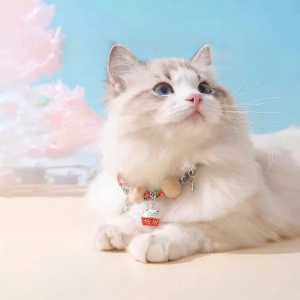 YIZHIBING | Flea & Tick Prevention Cat Collar