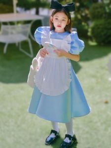 Alice In Wonderland Themed Girl Birthday Dress