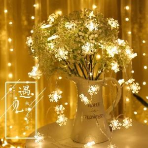 10M 80 LED USB คริสต์มาสสายตกแต่งบ้านลาน อุตสาหู่ Siamese Cat (เปรียบเทียบ: สีขาว)