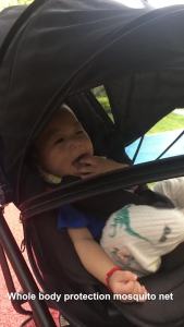 Mosquito Net Baby Stroller Accessories: Protect Your Little One