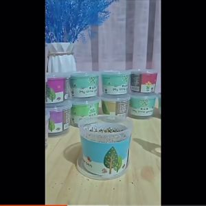 5Pcs Diy Potted Art toys Mini Plants Cute Small Potted with Flower Seeds Soil Lootbag Filler/Paninda