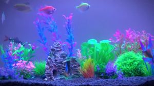 25pcs Aquarium Decor Plants and Rock Cave Hideout Ornaments Fish Tank Plants Plastic Decoration