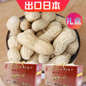 Exported to Japan and South Korea Grilled Peanut Snacks Shandong Big Peanut Specialty Gift Box Fry Peanut Original Flavor without Salt
