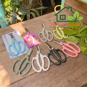 KC08F -  Kéo mũi bầu cán nhựa chuyên cắt cành nhánh giấy chỉ màu sắc đẹp szie 18cm ( xem trong mô tả )