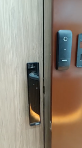 [Door + Gate] Eazea AXIS + AXIS-G Smart Door and Gate Lock Bundles with Fingerprint Keyless Access (Digital Lock)
