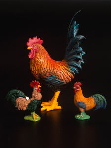 Childrens Simulation Model Toy Plastic Rooster Decorative Country Poultry Male Female Gift Model Animal Doll Static Animal Model