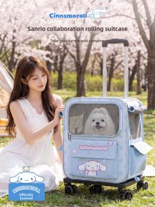 hipidog | Stress Reducing Portable Pet Backpack for Socialization