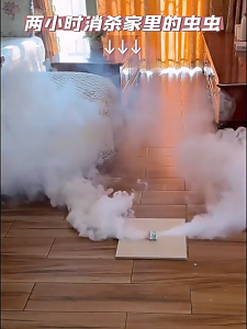 Powerful household insecticide for ants cockroaches mites and termites eradicates entire ant colonies effective indoor and outdoor ant killer kitchen ant powder.