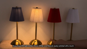 Modern Rechargeable LED Table Lamp, 3-Color Dimming Touch Night Light with Pleated Fabric Shade for Bedroom Living Room Bar Hotel