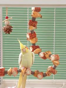 XIAONONGSHAN | Entertainment Chew Toy Cage Decoration