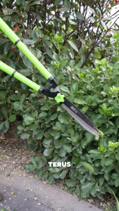 ISKU Teleskopik Gunting Pagar Gunting Dahan Rumput 53CM Super Tajam  Pegangan Karet Anti Slip - Pemotong Rumput Terlaris 2025 (Garansi 1 Tahun)