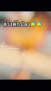 สวิงตักปลามีด้าม 4 ขนาด ที่ตักปลา สวิง กระชอน ที่ตักกบ กระชอนตักปลา สวิงถุงผ้าตาข่าย ที่ช้อนปลา ที่ช้อนกุ้ง กระชอนตัก สวิงตักขยะ