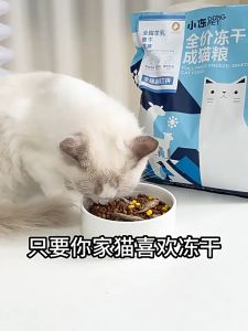 Thức ăn Hạt cho Mèo DONGPET Thơm ngon với Thịt sấy khô Nguyên liệu cao cấp