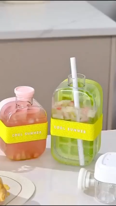 Bình nước mini 2in1 kèm khay đá – 500ml/800ml nắp kín chống tràn nhựa cao cấp có ống hút tiện lợi