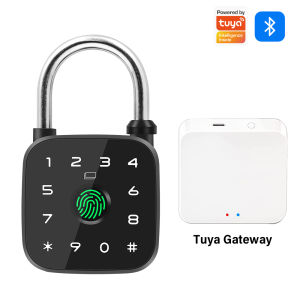Ổ Khóa Vân Tay Thông Minh Cho Ngăn Kéo Ký Túc Xá Khóa Mini Chống Trộm Với Mật Khẩu Ứng Dụng Tuya Hỗ Trợ Thẻ RFID & Hỗ Trợ Chìa Khóa Cơ