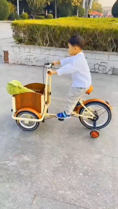 16inch Trike FoldableKids TricycleTrikefor Ages 5+ Beginner Riders with Front Wood Basket and Passenger for Shopping Picnic Outdoor Kids Playground Sports