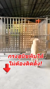 【2025 อัปเกรด🇹🇭】กรงสุนัข บ้านสุนัขแบบเคลื่อนที่ ไม่ต้องติดตั้ง กรงสุนัขสแตนเลส 304 กรงสุนัขพับได้ ป้องกันสนิม กรงหมา มีรอก กรงแสตนเลส