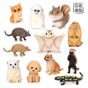 Mô Hình Động Vật Nhỏ Dễ Thương Đồ Chơi Chó Shiba Đồ Chơi Chồn Mỏng Đồ Chơi Mèo Golden Monkey Đồ Chơi Chồn Bay Đồ Chơi Giun Đất
