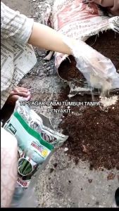 Pupuk Fungisida Hayati Trichoderma Tricoderma GMN 1KG Trichoderma Tricoderma Trikoderma Obat Layu