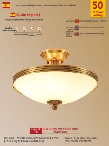 HADLITE | Bronze European American Simple Ceiling Light