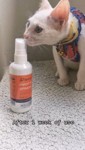 PUAINTA Pipot Skin Spray for Cat and Dog Pet Skin Spray Antifungal Itching Relieve Non toxIc Can Be Licked 100ml