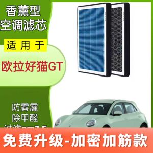 กรองอากาศรถยนต์ Charcoal GT 23 ช่อง สำหรับรถยนต์ Eolfa Good Cat 2020 แบบ 21 กลิ่นหอม อะไหล่รถยนต์ ซ่อมบำรุง ดูแลรักษา