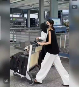 Blouse Wanita Serat Alami dengan Lengan Panjang Polos