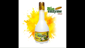 Bioenzyme Premium Original Natural Food Supplement Multivitamins Gut Health Immune System Modulator Cell Therapy Digestive Microbial Anti-Oxidant