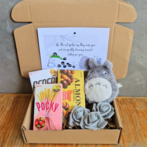 ✨ Totoro Kawaii Miyazaki Hayao Birthday Valentines Treats and Snacks Surprise Package for LDR Couple Gray