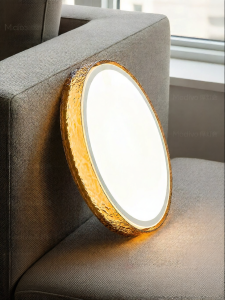 FANCY LAMP CLUB | Modern Minimalist Luxury Eye-protection Full-spectrum Ceiling Light